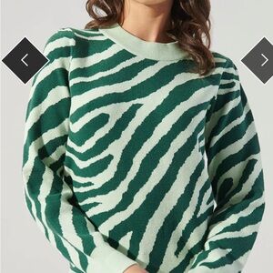Sugarlips Mint and Dark Green Zebra Sweater